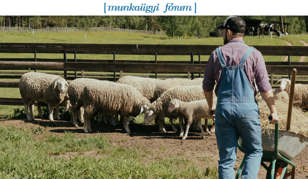 Változások az alkalmi munkavállalás szabályaiban